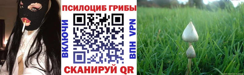 купить наркотик  Оханск  Псилоцибиновые грибы Psilocybine cubensis 